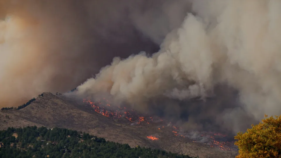 Mokslininkai perspėja: tikroji miškų gaisrų grėsmė nematoma, bet mirtinai pavojinga