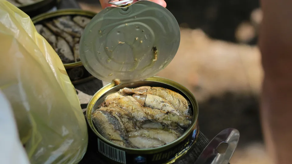 Mitybos ekspertai atskleidė šokiruojančią tiesą: kaip iš tuno išspausti maksimalią naudą?