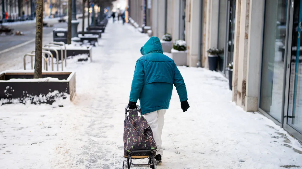 Beveik trečdalis lietuvių į pensiją neskuba: aiškėja, kaip jie planuoja išgyventi senatvėje