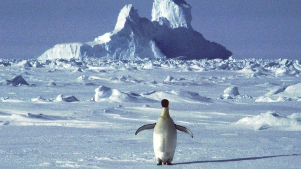 Po ledu slypintis milžinas: atradimas, kuris privertė mokslininkus perrašyti žemėlapius