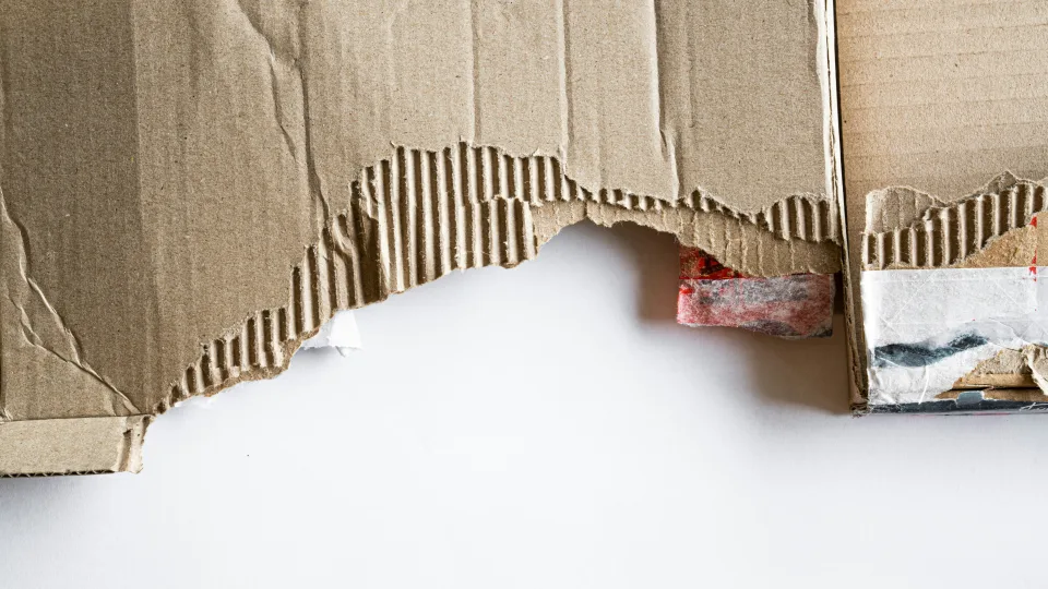 Smūgis brangiam šildymui: virenas triukas po lova ir namuose tapo šilčiau