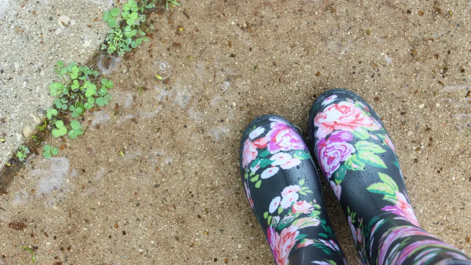 Sunku patikėti, bet tai veikia: paprastas virtuvės triukas prieš piktžoles