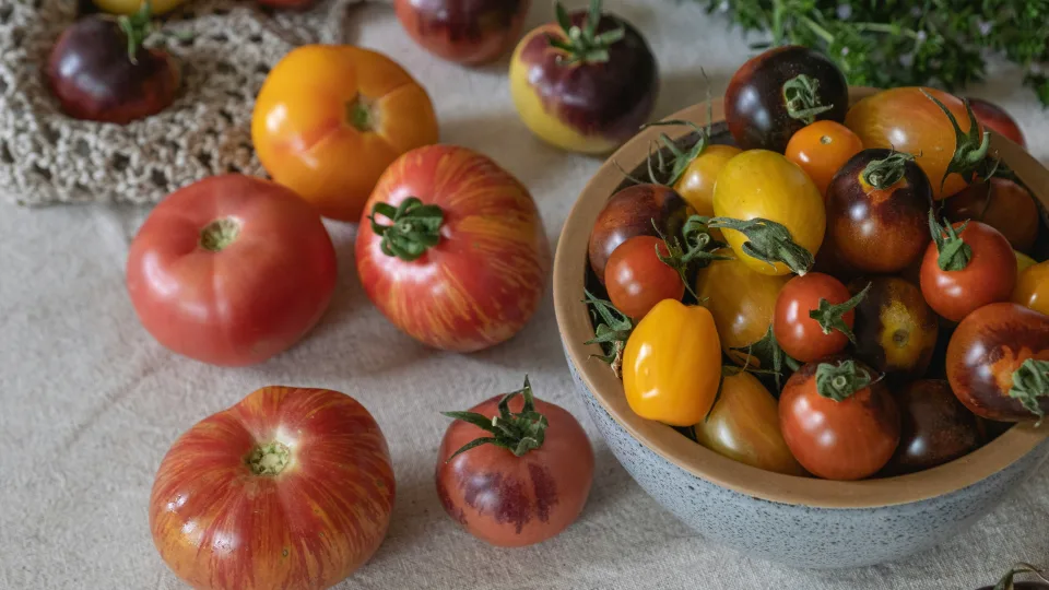 3 populiarios pomidorų veislės, kurias visi giria, bet realybėje jos atnešė tik nusivylimą