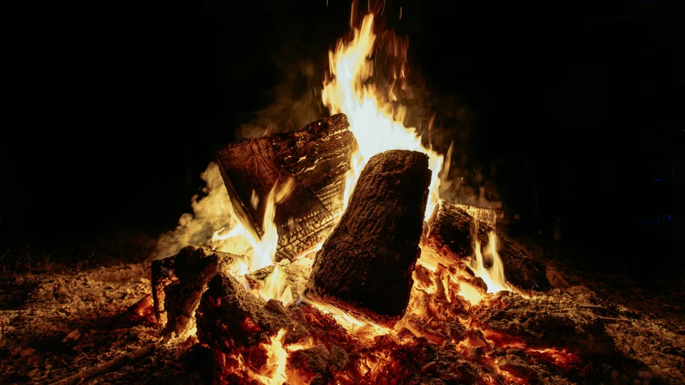 Evoliucinis paradoksas: tai, kas saugojo nuo infekcijų, šiandien gali tapti mirtina grėsme