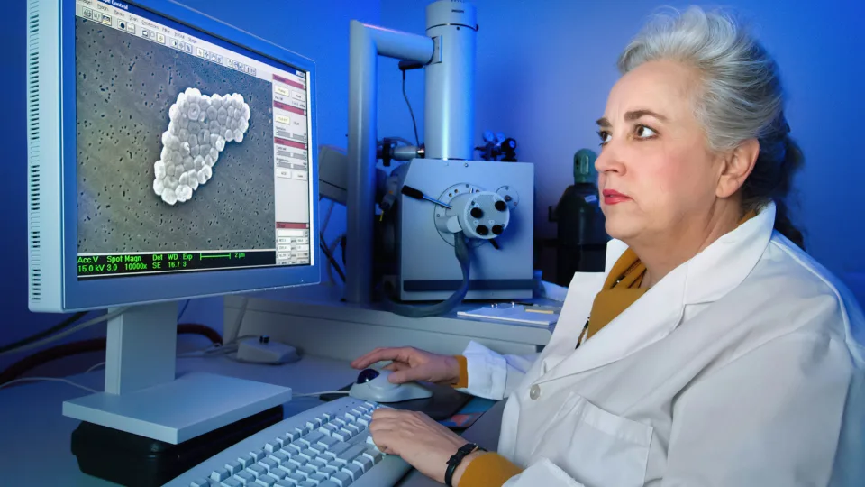 Smegenis ėdanti ameba jau Europoje? Mokslininkai įspėja apie augančią riziką ir mūsų regione