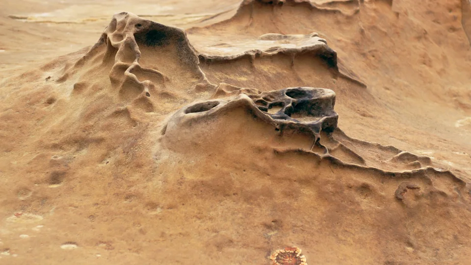 NASA tyrimas sukrėtė mokslininkus: Marse aptikta medžiaga gali būti pirmasis gyvybės įrodymas