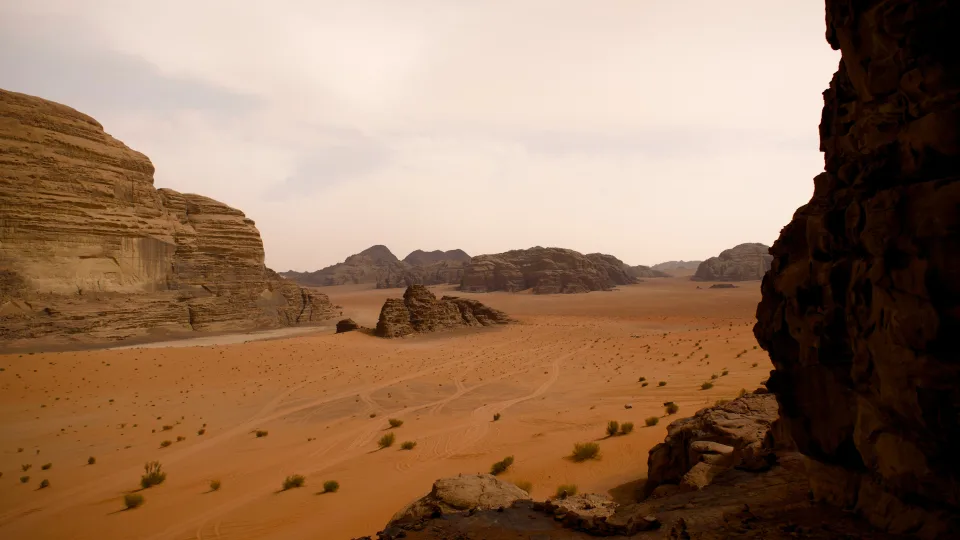 Dykumų uolose aptikti paslaptingi tuneliai: ar tai seniausios gyvybės pėdsakai Žemėje?