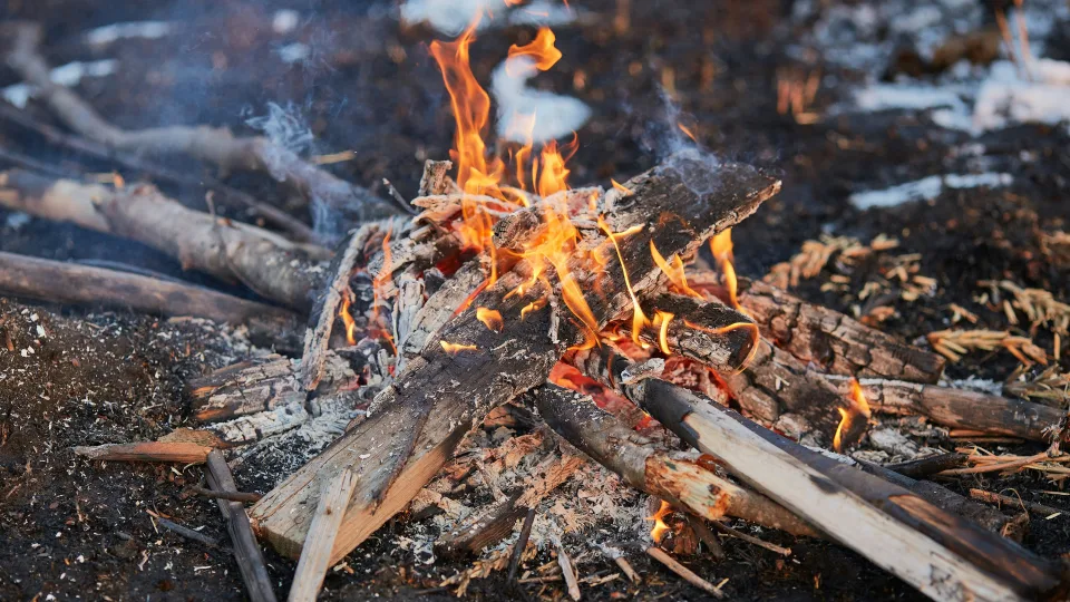 Ugnis pakeitė mūsų DNR? Mokslininkai teigia, kad nudegimai galėjo formuoti žmogaus evoliuciją