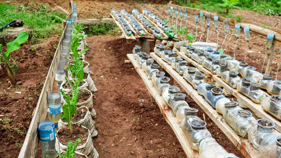 Vertikalus sprendimas mažam sklypui: taip auginsite daugiau net be lysvės