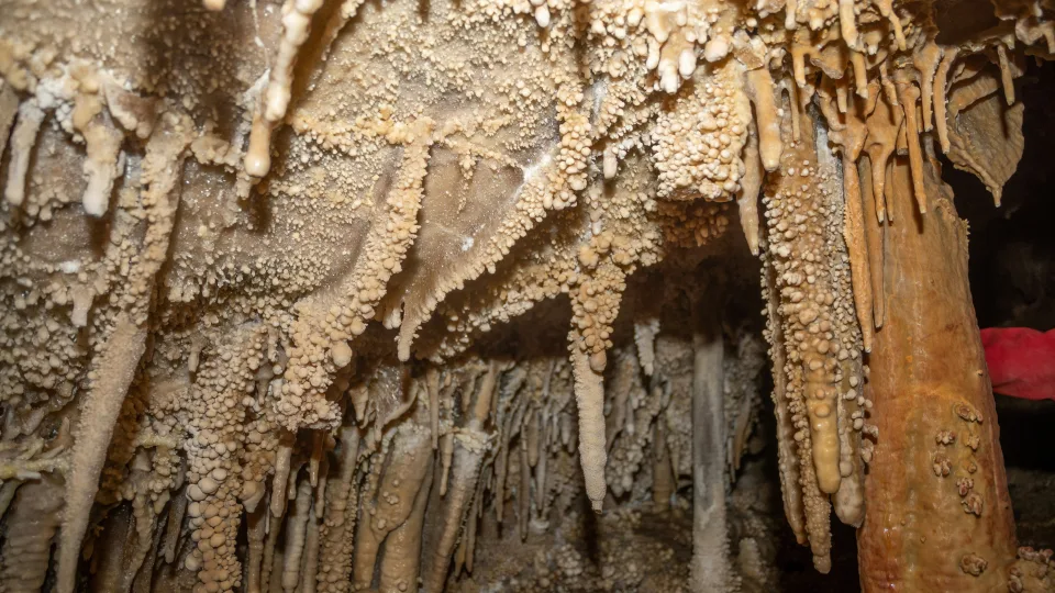 Milijonus metų po žeme miegoję mikrobai pabudo: mokslininkai sunerimę dėl to, ką atrado