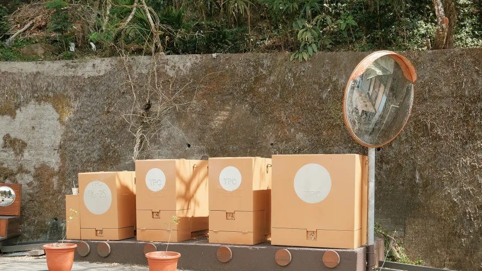 Patyrę sodininkai seno kartono niekada neišmeta: 5 triukai, kurie pavers derlių milžinišku