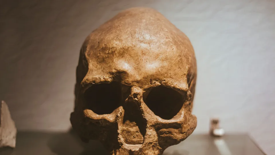 Archeologai rado milžino skeletą: skylėta kaukolė atskleidė šiurpią tiesą apie jo gyvenimą