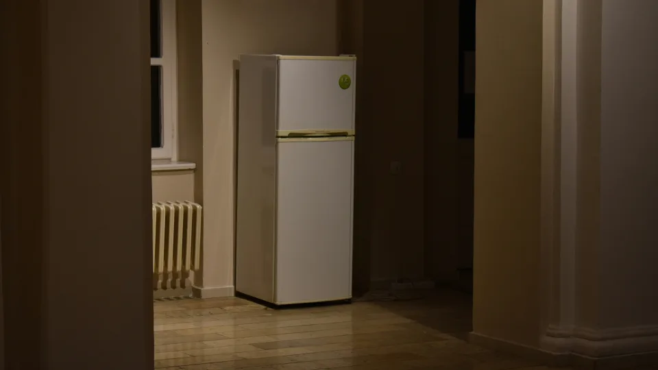 Namuose dingo elektra? Šie 3 būdai padės išsaugoti maistą ir išvengti didelių nuostolių