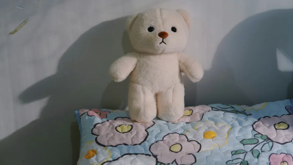 Vaikystėje šie dalykai skambėjo kaip faktai, bet iš tikrųjų yra visiškai neteisingi