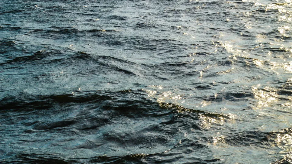 Klimato mįslė: kodėl vienas sūriausių vandenyno regionų sparčiai praranda druskingumą?