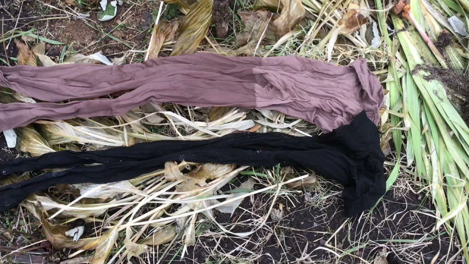 Derlius išlieka sveikas, o šakos nelūžta: sprendimas beveik nieko nekainuoja