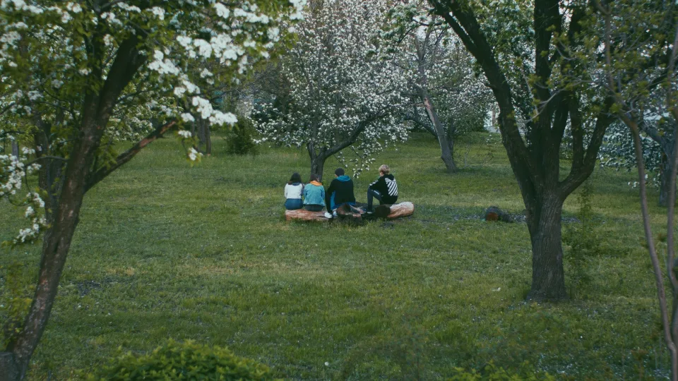 Sodo specialistai atskleidė: kada balinti vaismedžius, kad apsaugotumėte juos nuo kenkėjų