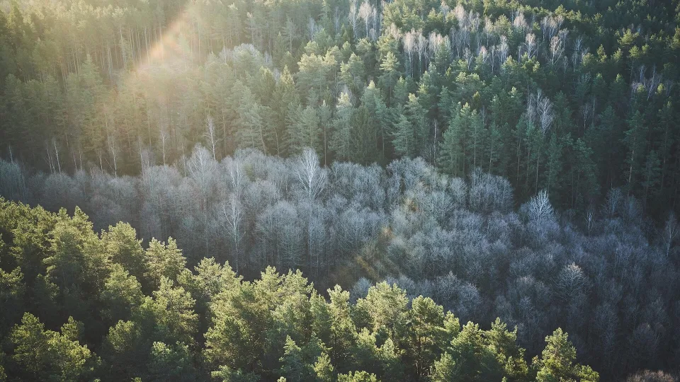 Išmanioms kelionėms po Lietuvą: ką privalu turėti savo telefone?
