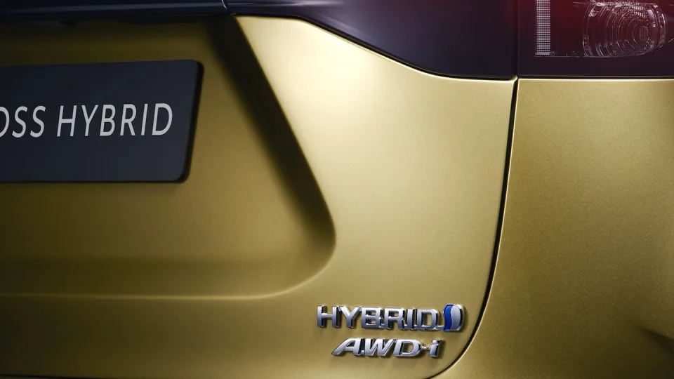 Iš tinklo įkraunami hibridai: ar jie gali atstoti iš karto du automobilius?