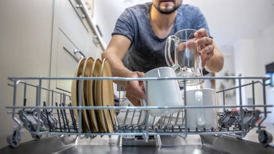 Ši buities klaida gali kainuoti sveikatą: tavo indaplovėje daugiau bakterijų nei tualete, pasakė, kaip to išvengti