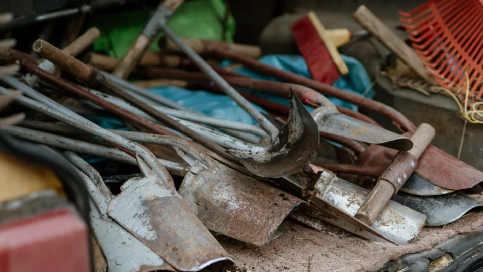 ESO siunčia svarbų perspėjimą lietuviams: neatsakingi veiksmai gali turėti skaudžias pasekmes, pataria ką daryti