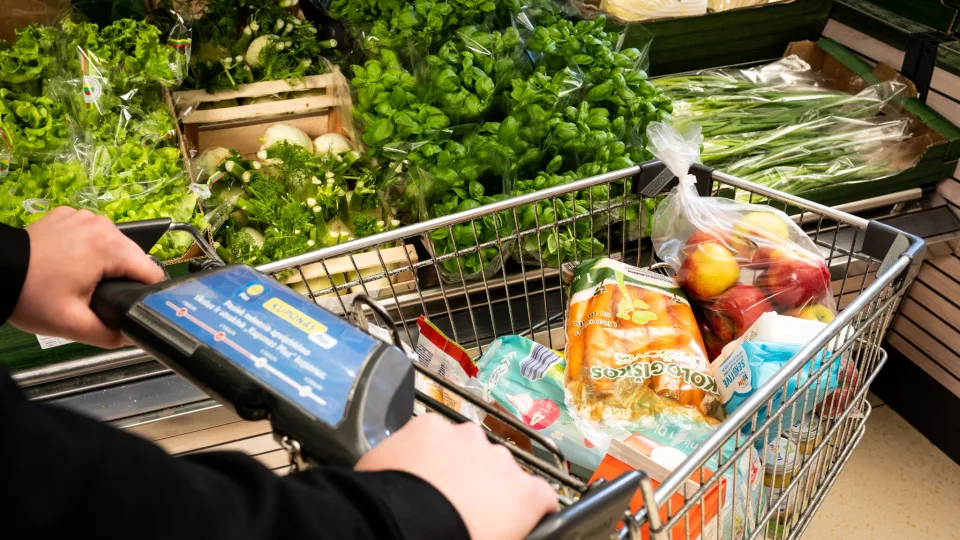 „Lidl“ ekspertai dalinasi naudingais patarimais: pasakė, kaip galima sutaupyti ne vieną šimtą eurų, padės ir išmanioji programėlė