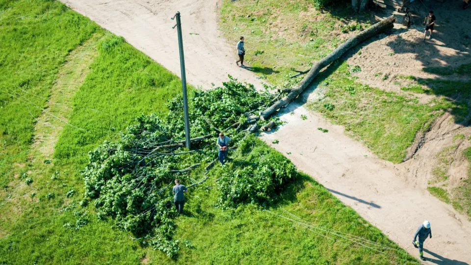 Savaitgalį siautėjęs vėjas pridarė nemažai žalos: skaičiuojama, jog padaryta žala jau viršijo 200 tūkst. eurų, tačiau tai dar ne pabaiga