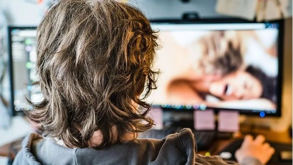 Pornografijos svetainėms pirmas toks JAV smūgis: viskas prasidėjo nuo spintoje pamiršto kompiuterio