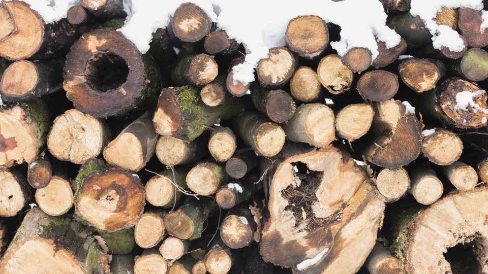 Lietuvoje mažėjo biokuro ir benzino, tačiau didėjo elektros kainos: pateikiama naujausia statistika, kai kurie skaičiai nustebins daugelį