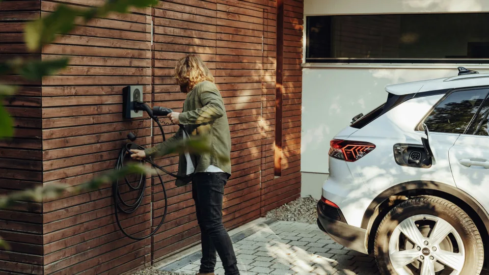 2024 metais elektromobilių skaičius Lietuvoje augo, tačiau ne tokiu tempu, kokio buvo tikimasi: kodėl subsidijomis elektromobilių rinkos Lietuvoje užauginti nepavyks?