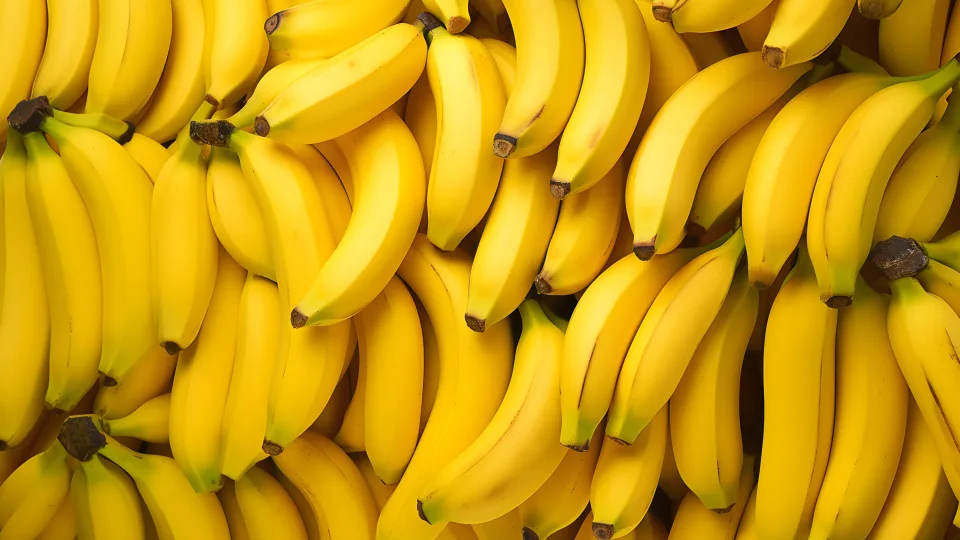 Ar tikrai žmogaus ir banano DNR turi labai daug panašumų? Paviešinti faktai apie mūsų genetinį panašumą
