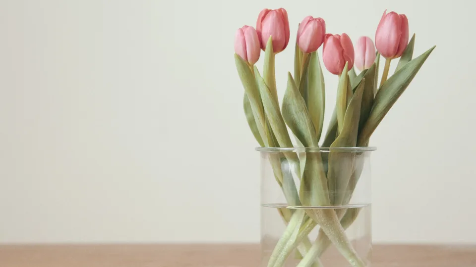 Atskleidžiamos Motinos dienos gėlių mados: nedarykite šios klaidos, jei norite, kad ilgiau žydėtų