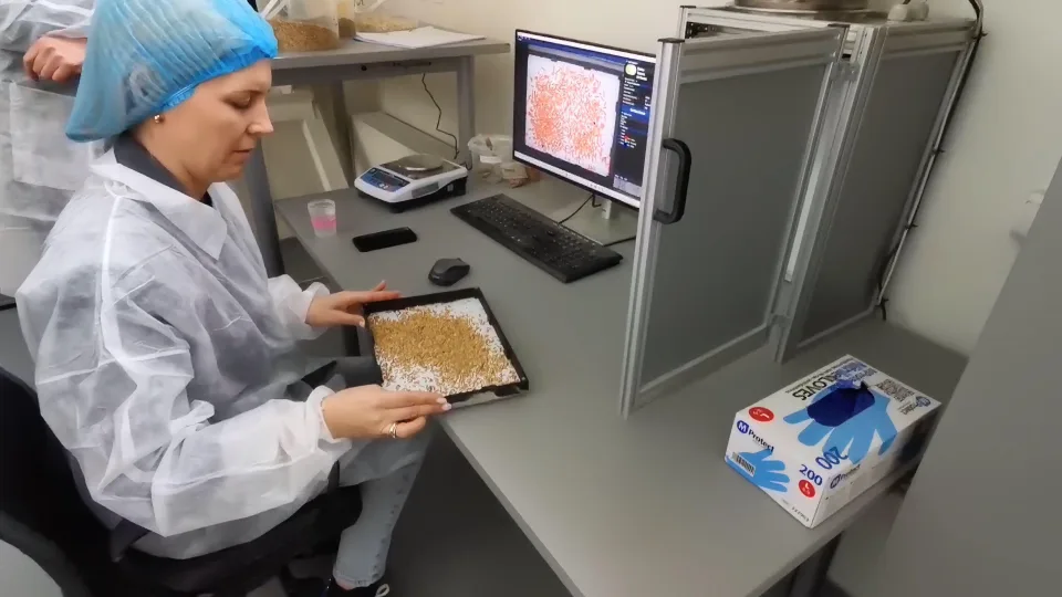 Lietuvių sukurtas dirbtinio intelekto sprendimas grūdų kokybės tyrimus pagreitina 600 kartų