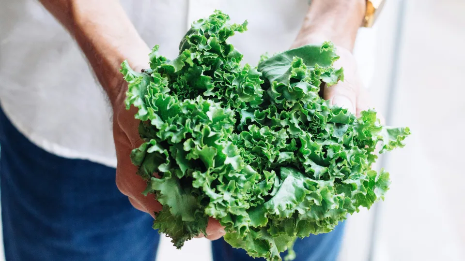 Bandė maitintis veganiškai, bet po dviejų savaičių vos atlaikė: atskleista, kas tokio nutiko
