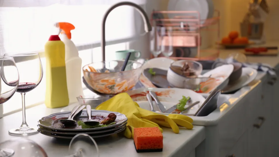 Kokią priemonę rinktis indams plauti – kempinę ar šepetį? Tyrimas atskleidė šokiruojančią tiesą