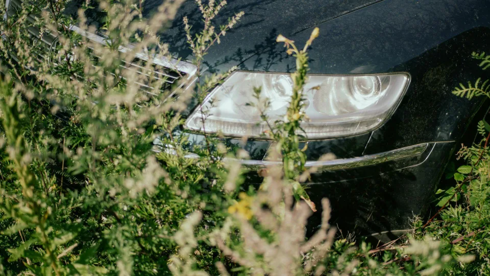 Nevalytas automobilis pavasarį gali virsti alergijos židiniu: kvėpuoji tuo, kas tyliai kaupiasi ant sėdynių