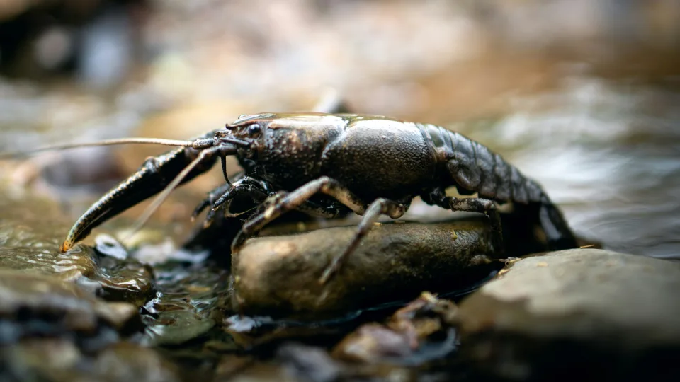 Diena prasidės ramiai, bet vakare kelio danga gali nemaloniai nustebinti net ir patyrusius