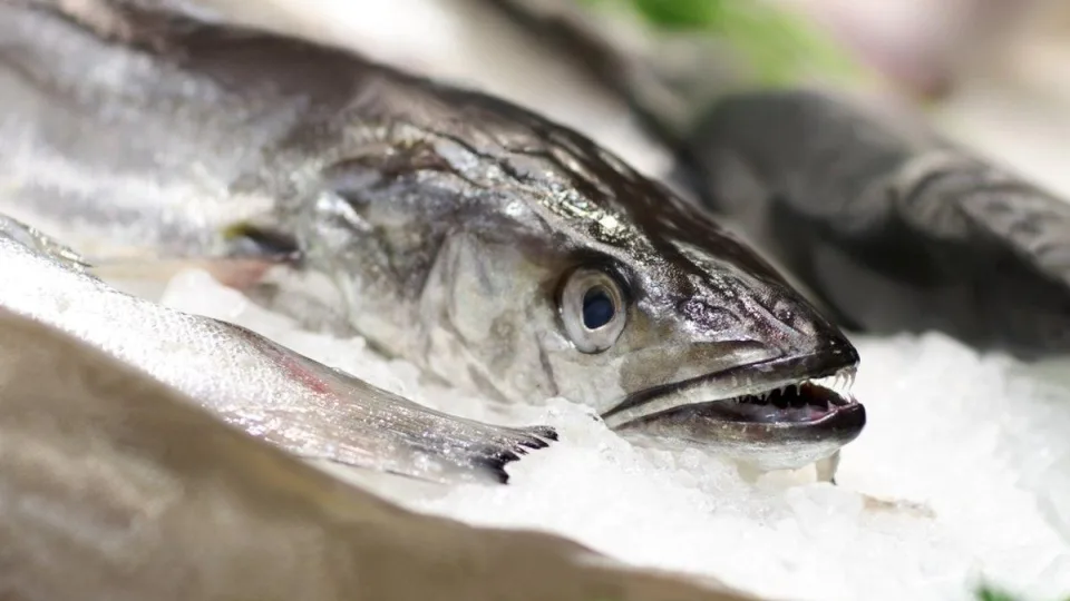 5 receptai su žuvimi, kuriuos nuolat kartosite dar iki Kūčių: nuo šventiškos lašišos iki itin kvapnaus šamo