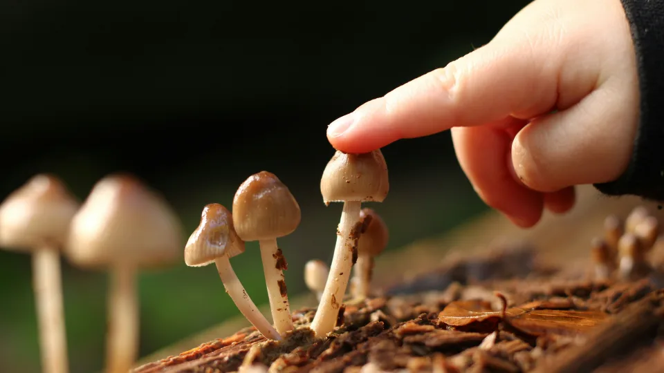 Miško nuotykiai, kurie gali baigtis ašaromis: svarbios taisyklės kiekvienai šeimai, keliaujančiai su vaikais