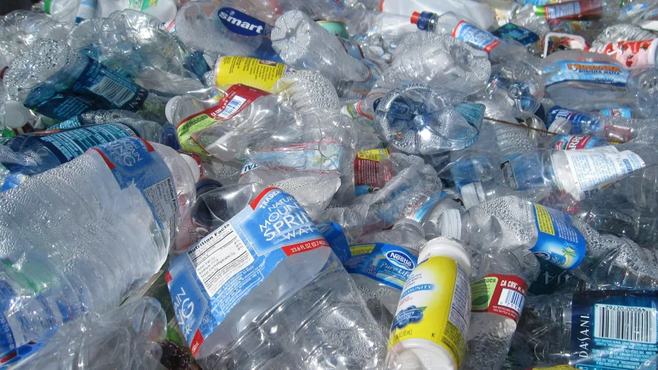 Netikėtas mokslininkų atradimas: šie gleivėti augalai naikina mikroplastiką greičiau nei brangiausi chemikalai