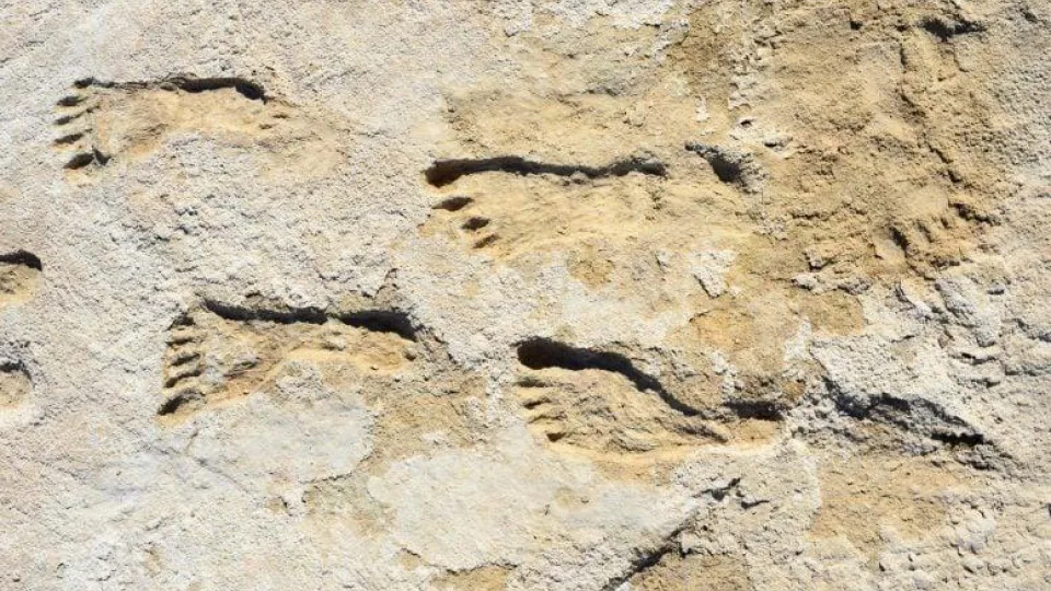 Sensacingas atradimas dykumoje: aptikti paslaptingi žmogaus pėdsakai, kurie sugriauna visas žinomas teorijas