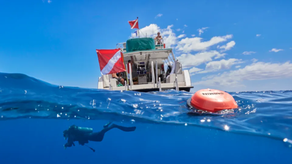 „Garmin“ plečia saugaus nardymo galimybes pristatydamas išmaniąją „Descent S1 Buoy“ plūdę