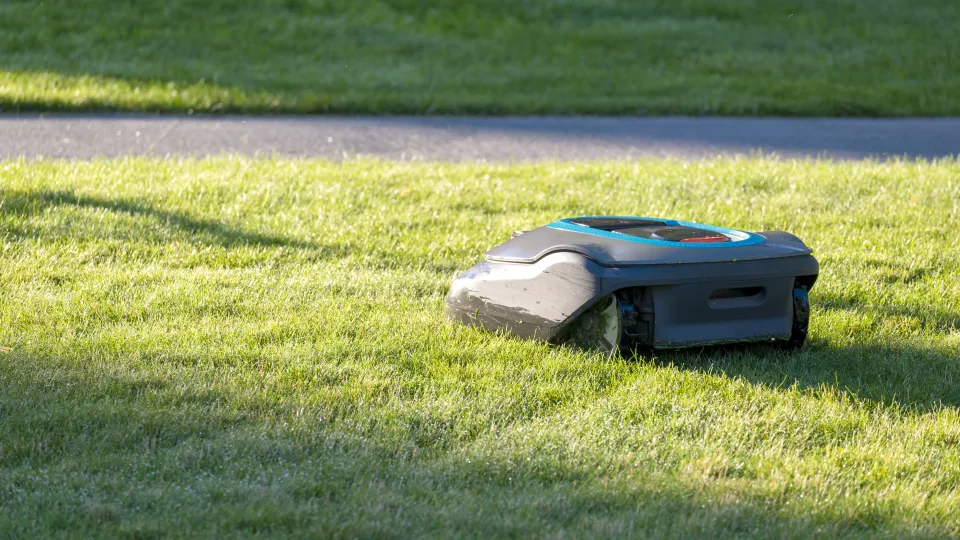 Vejos robotas už kelis šimtus? Štai kaip išsirinkti pigų robotą ir pamiršti apie visus vasaros vargus