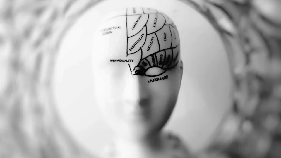 Neuromokslo atradimai: naujas tyrimas pagilina supratimą, kaip veikia smegenys net tada, kai ilsisi