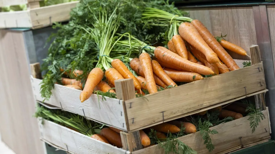 Augaliniai produktai gali tapti kasdieniu pasirinkimu, ką rodo lietuvių įpročiai ir ką siūlo ekspertai
