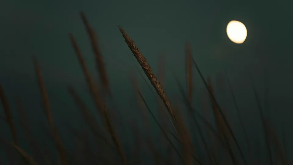 Rugpjūčio pilnatis viską apvers aukštyn kojomis: šiems Zodiako ženklams teks atsisveikinti su ramybe