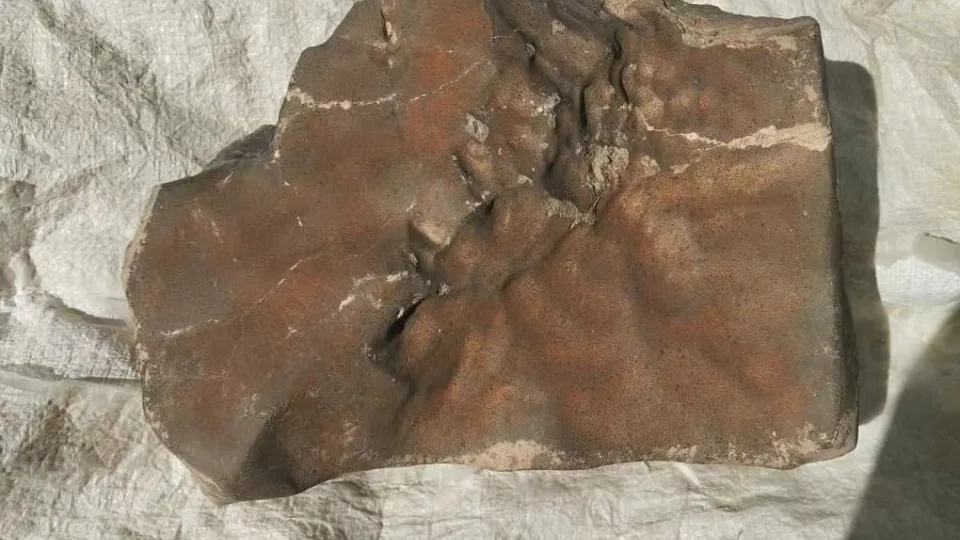 Parduotas už milijonus, bet ar teisėtai? Meteoras iš Marso tapo brangiausiu ginčo objektu pasaulyje