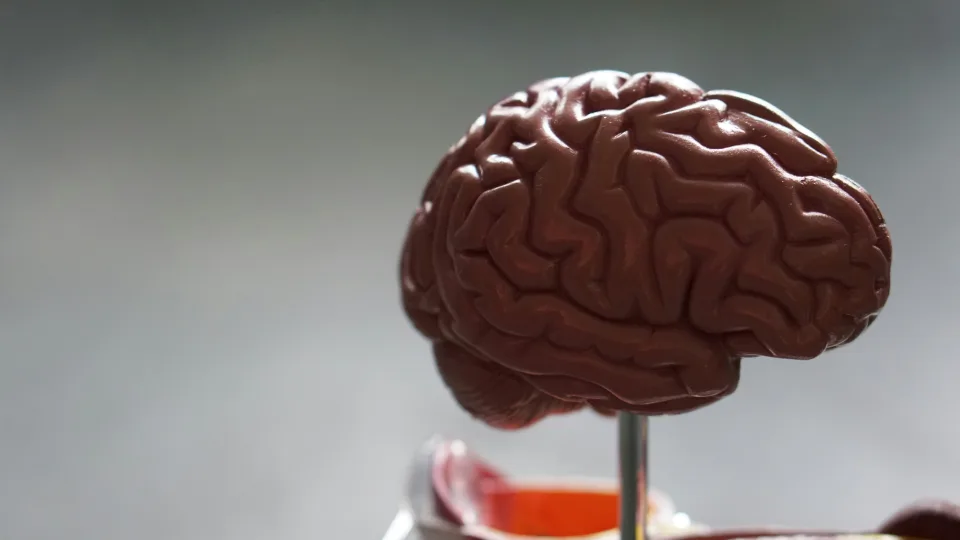 Artimasis pasikeitė neatpažįstamai? Tai gali būti ankstyvas neurodegeneracinės ligos signalas