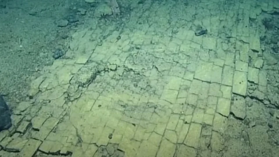 Net mokslininkai akimirką suabejojo realybe: stulbinantis „Geltonų plytų kelias“ vandenyno dugne