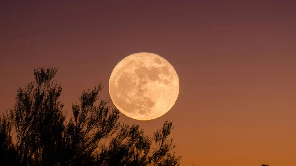 Rugsėjo pilnatis taps lūžio tašku: šiems Zodiako ženklams Kukurūzinis mėnulis atneš dosnią sėkmę